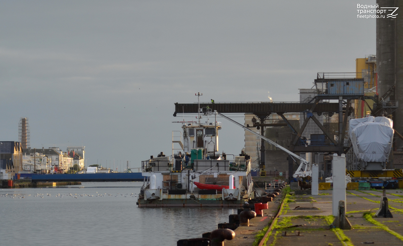 Procadia Tug 5