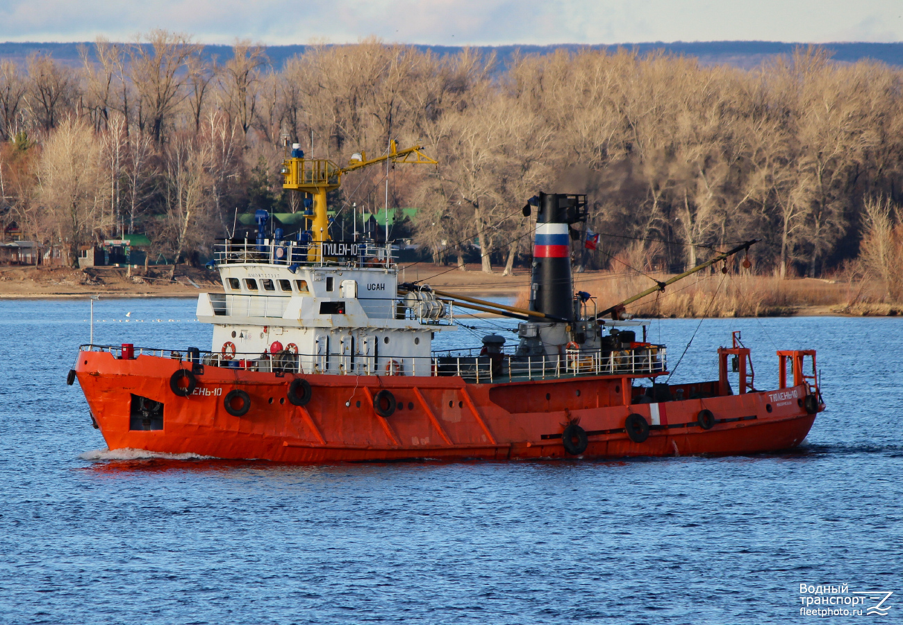 Тюлень-10