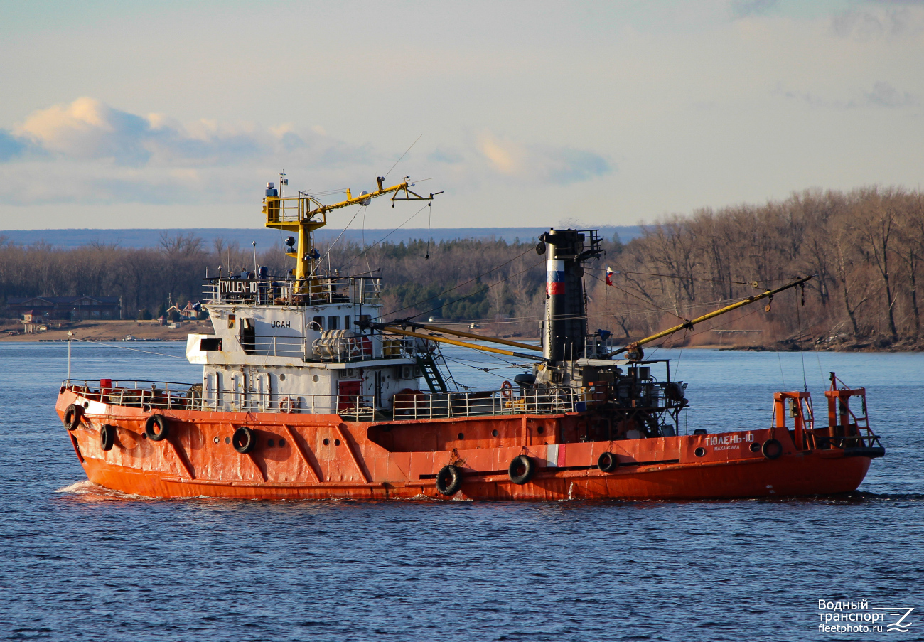 Тюлень-10