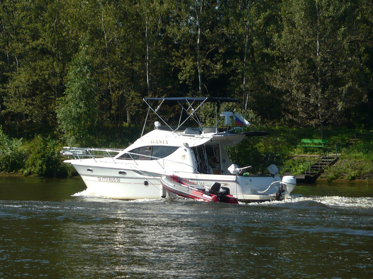 Avanta