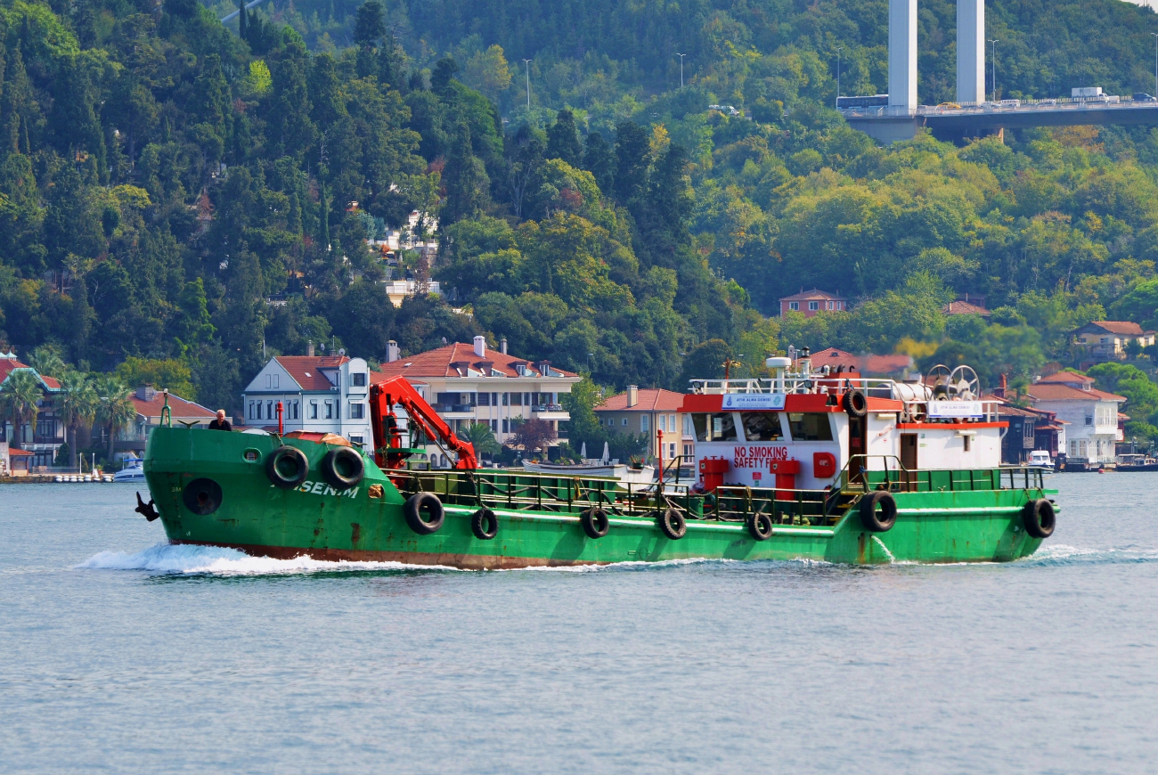Ahsenim