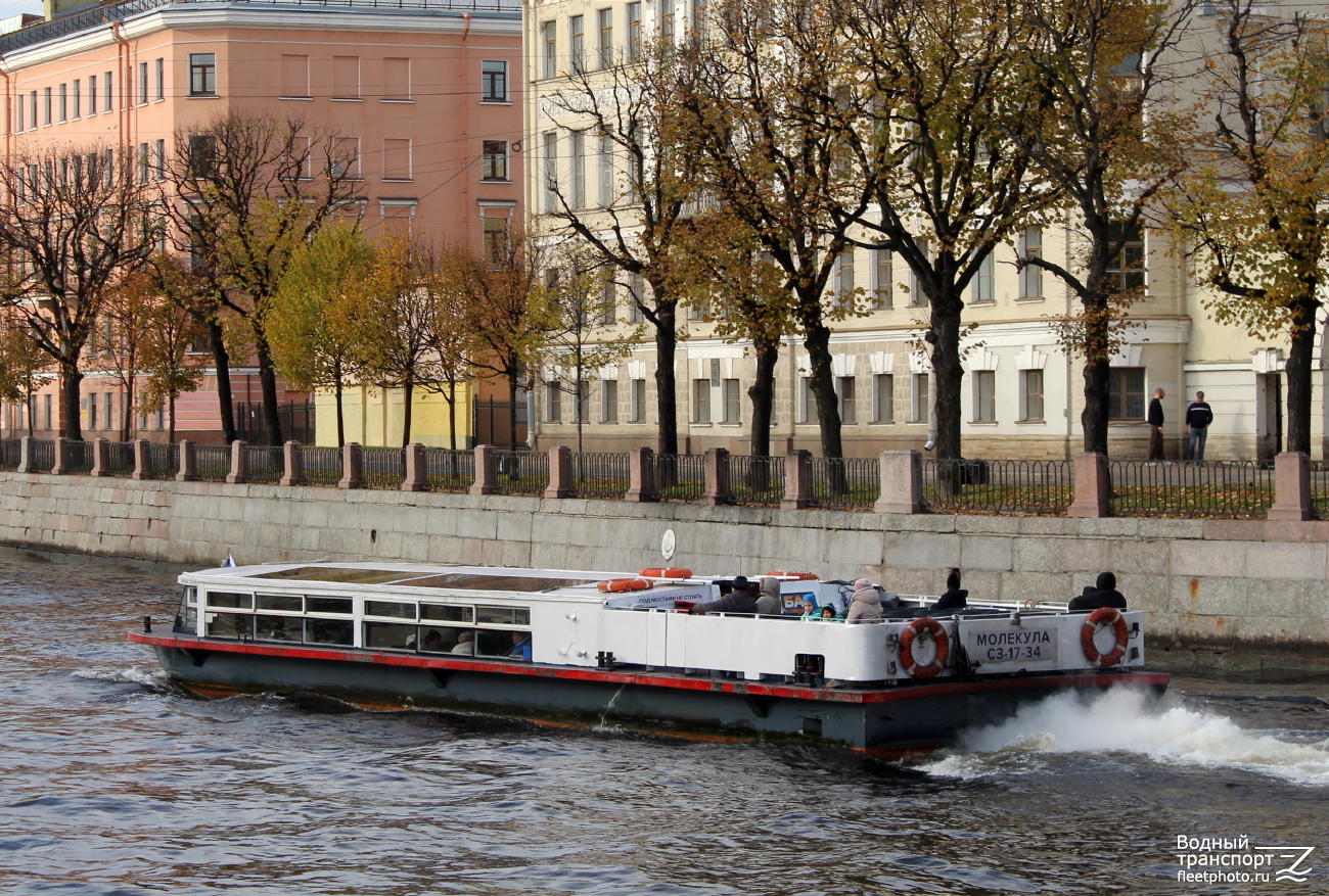 Молекула