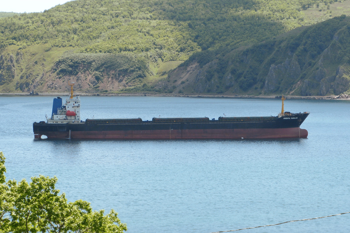Oriental Parallel