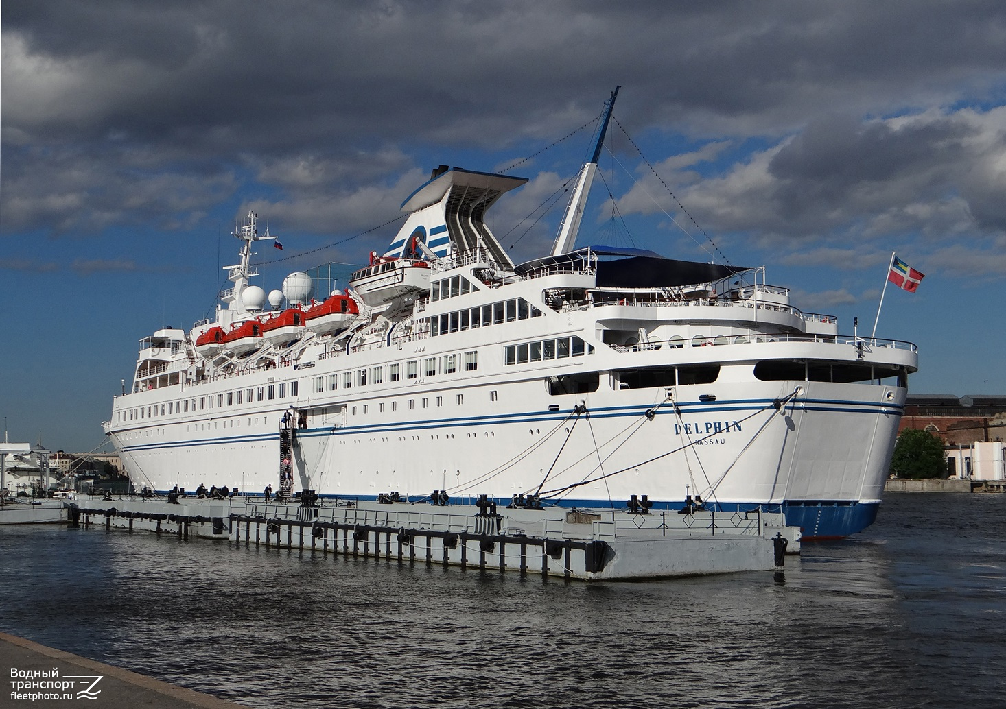 Delphin