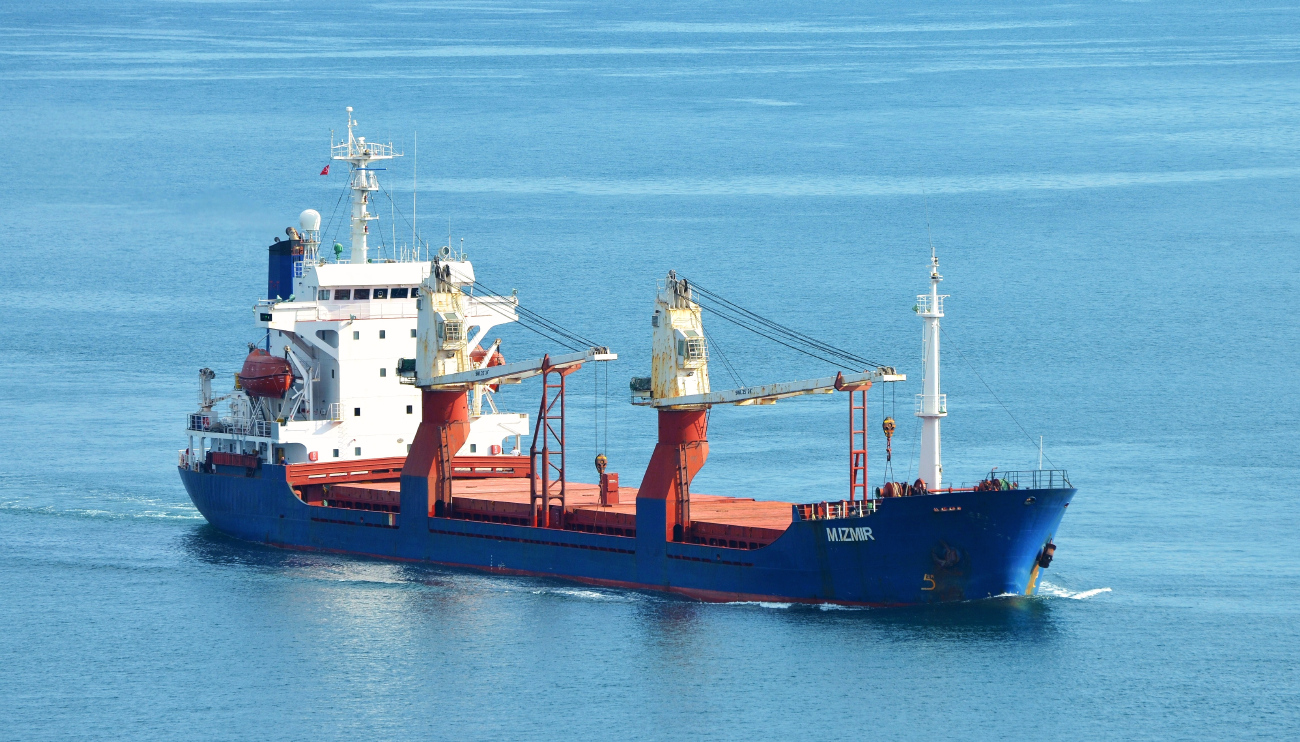 M. Izmir