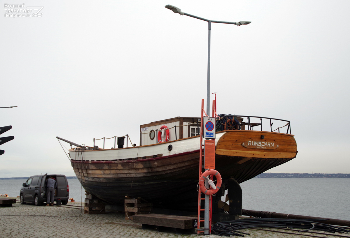 Runbjarn