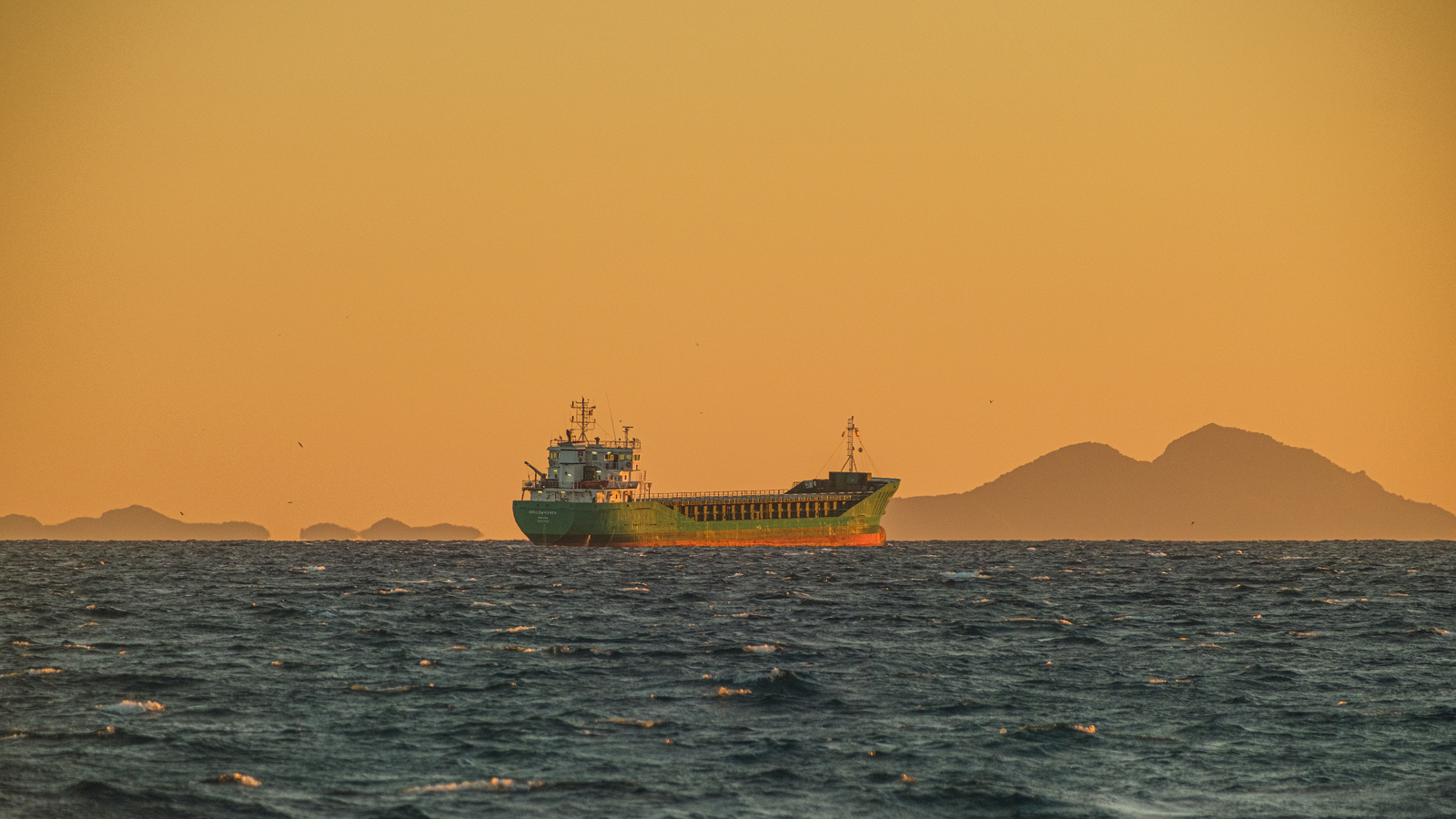 Arklow Raven