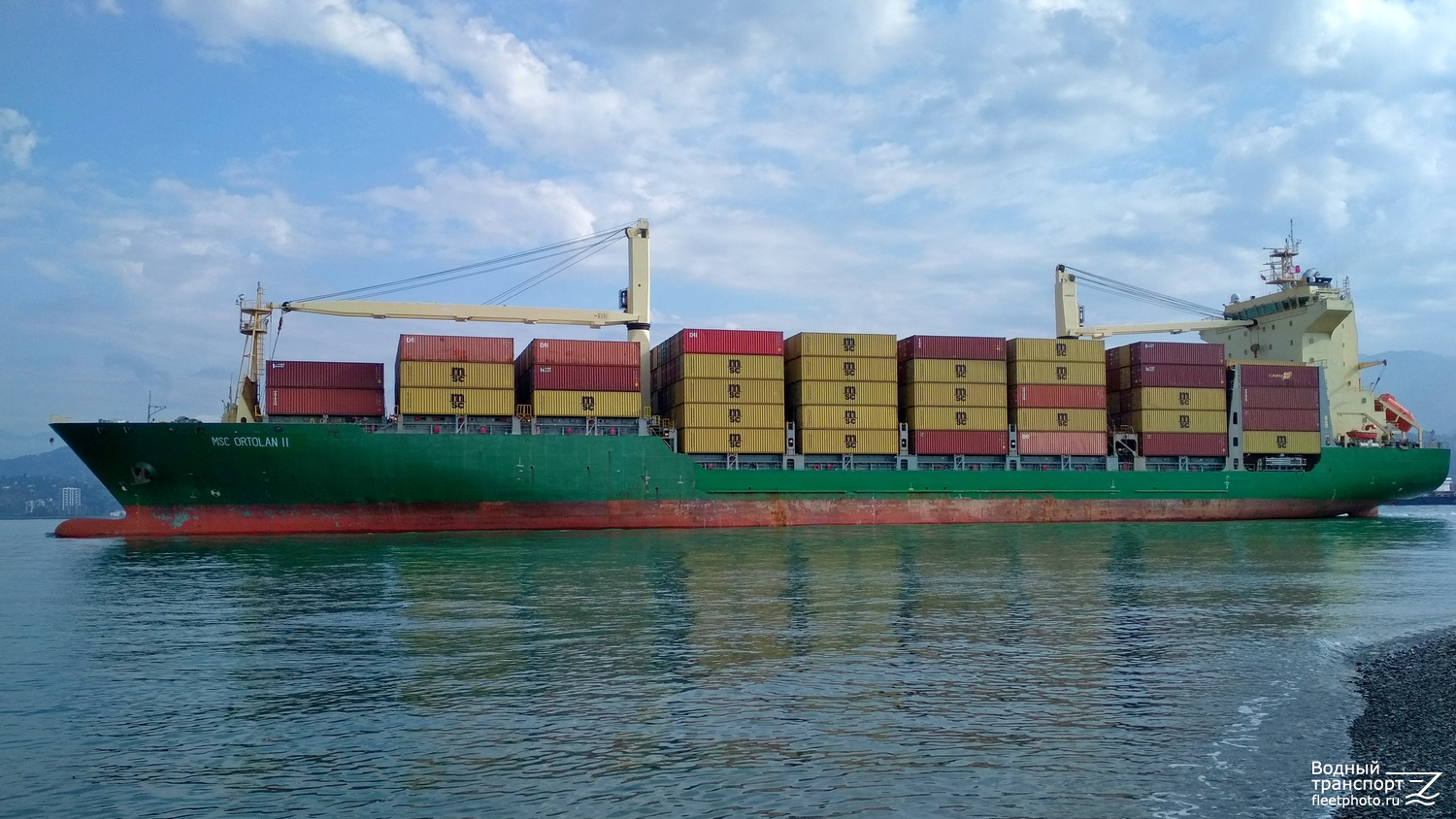MSC Ortolan II