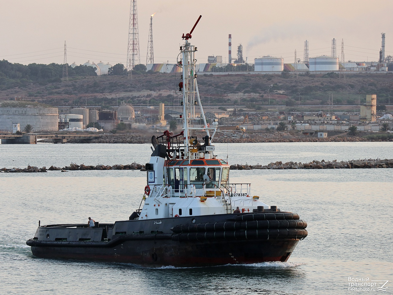Tassina 3