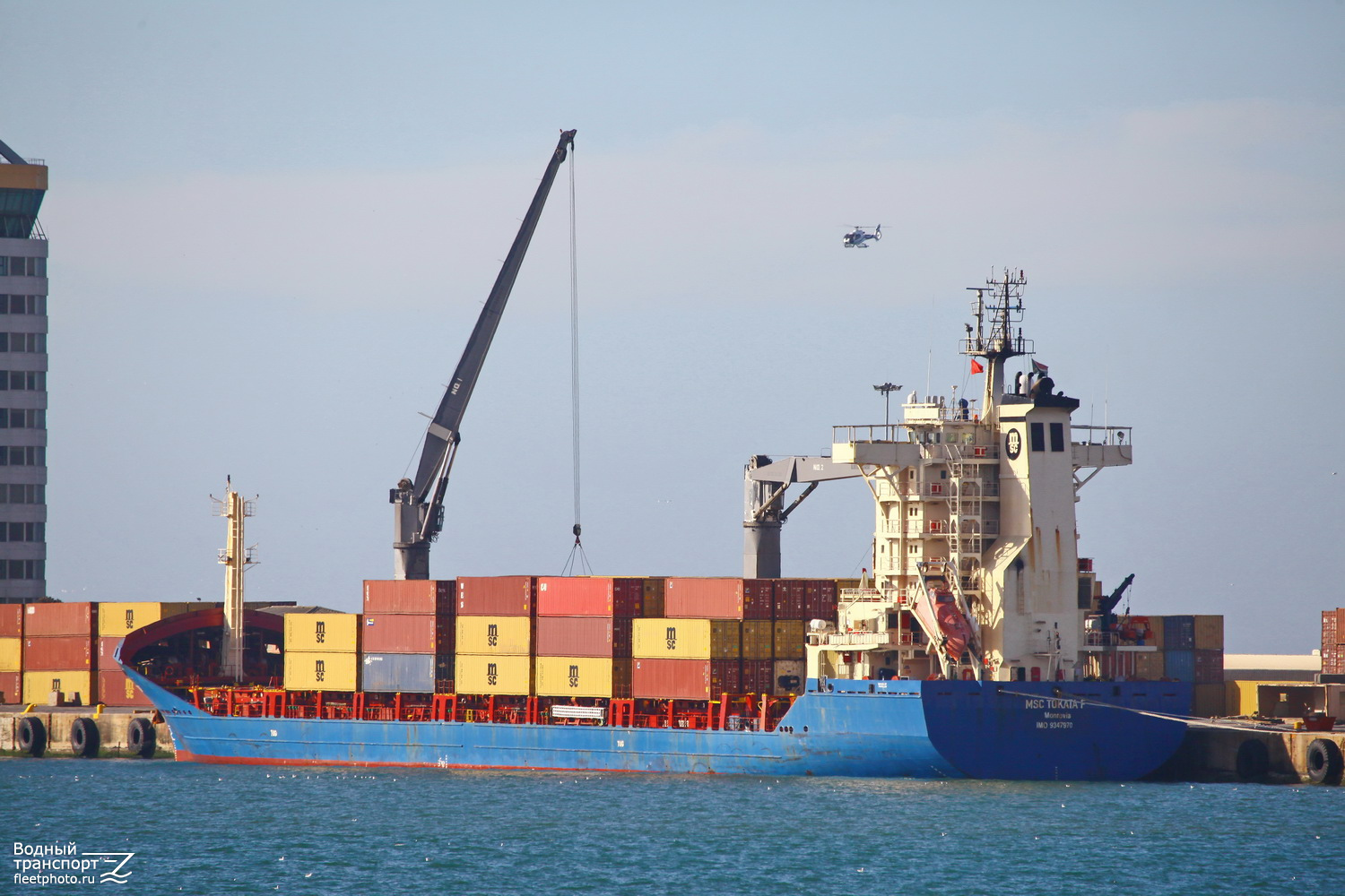 MSC Tokata F