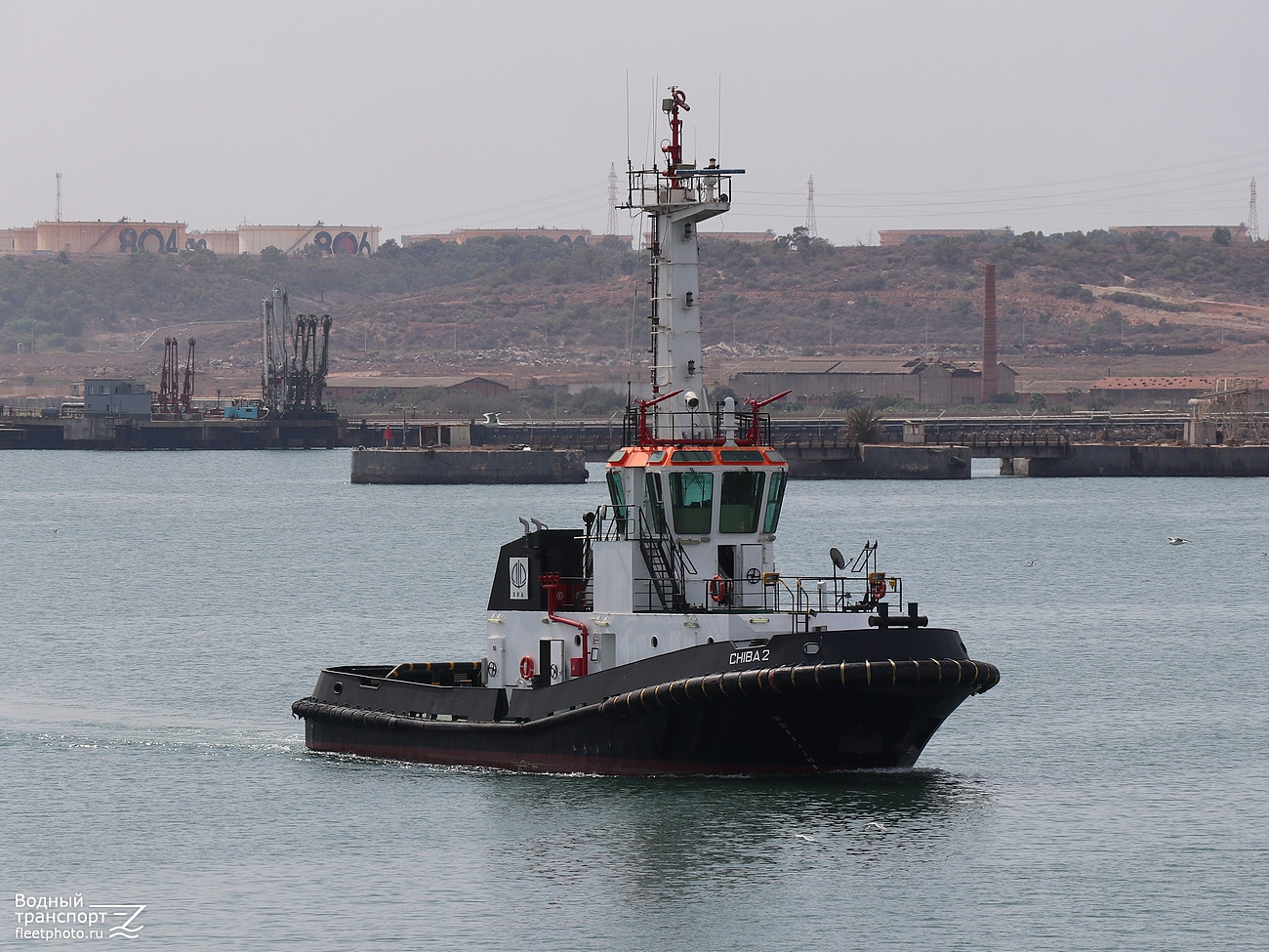 Chiba 2
