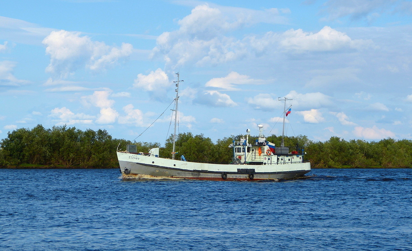 ПТС-89