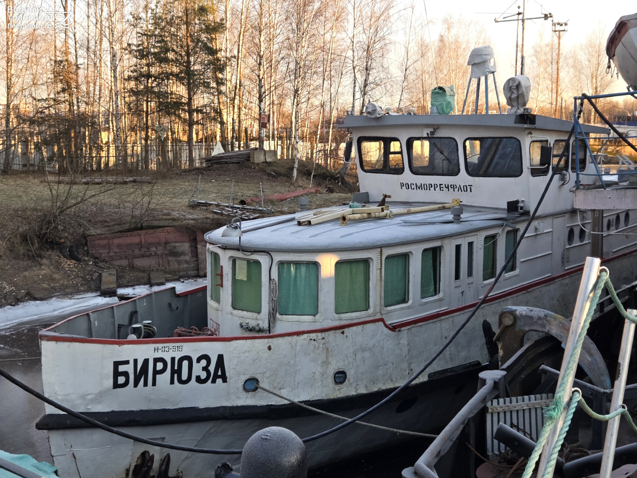 Бирюза