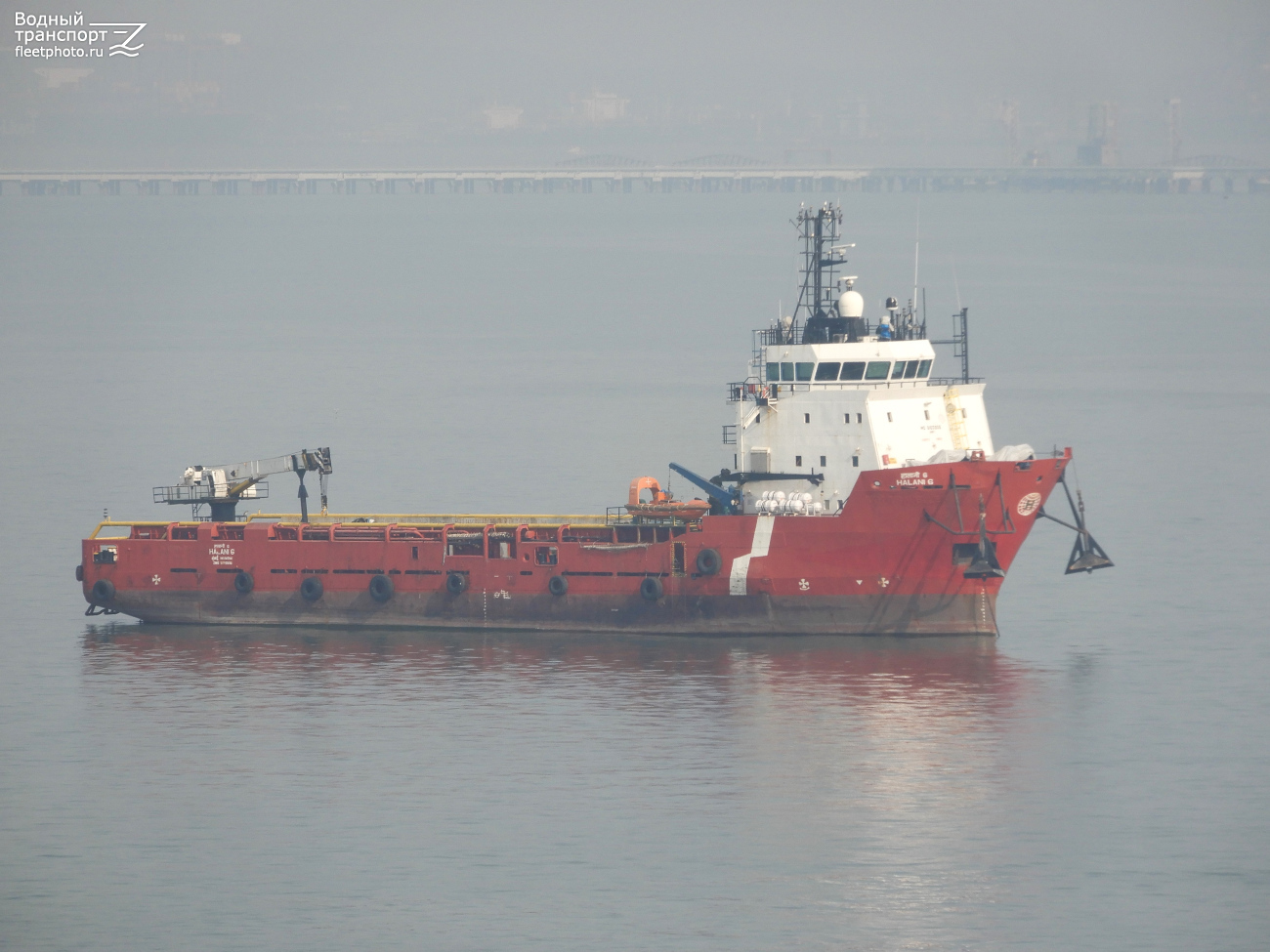 Halani 6