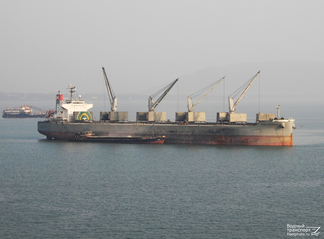 Ipsea Colossus