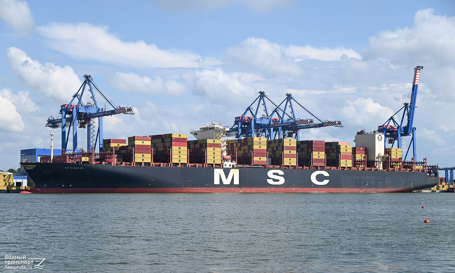 MSC Natasha XIII