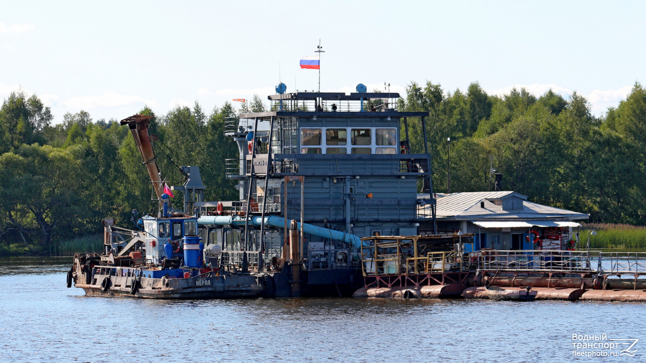 Нерпа