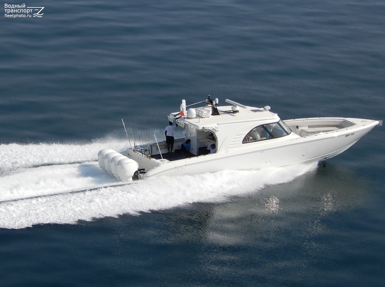 DP 19
