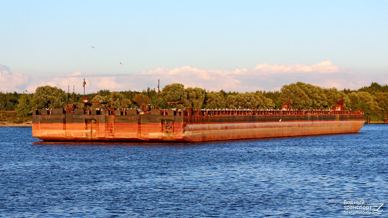 Секция-176, Секция-242