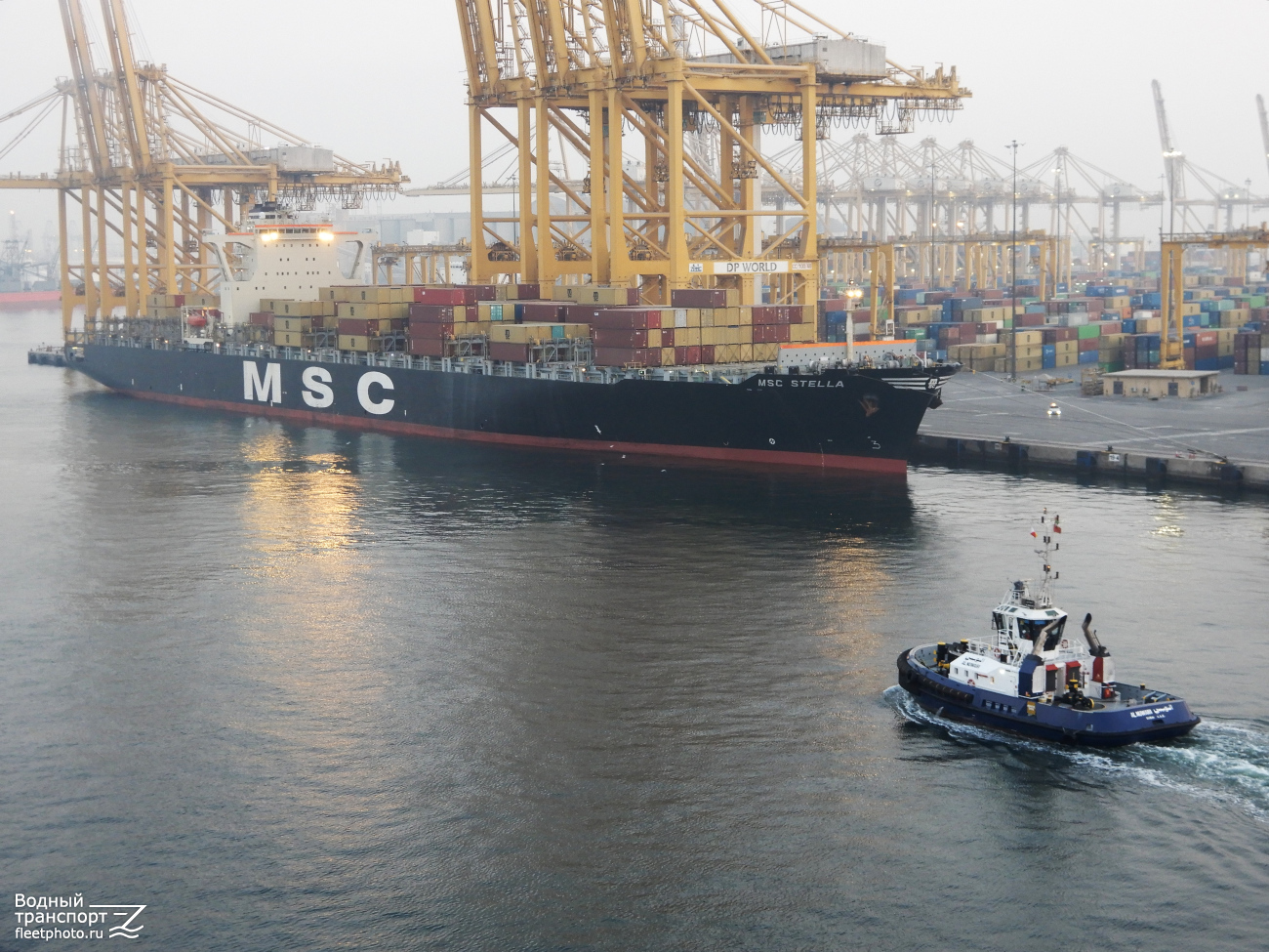 MSC Stella, Al Nuwaibi