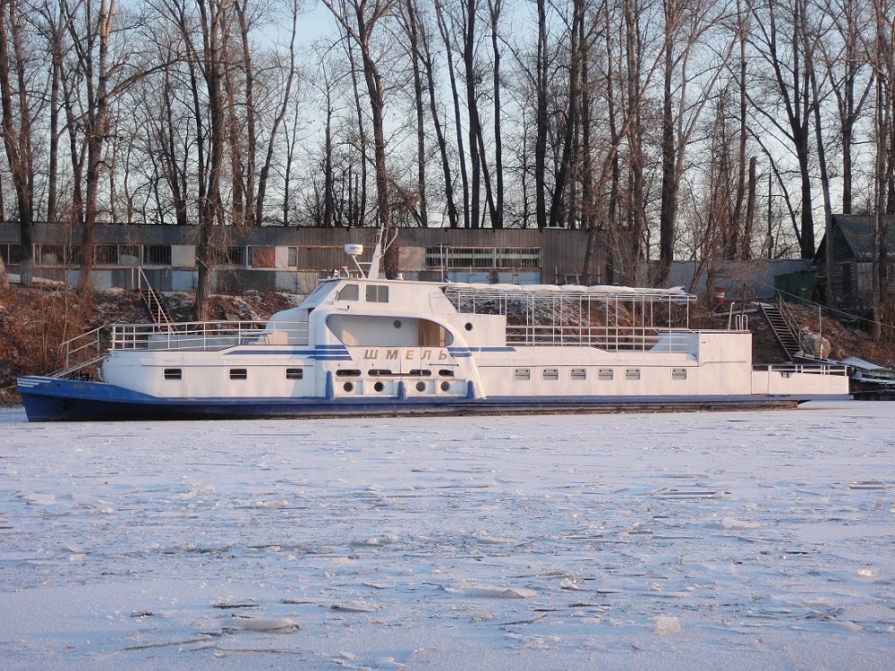 Шмель