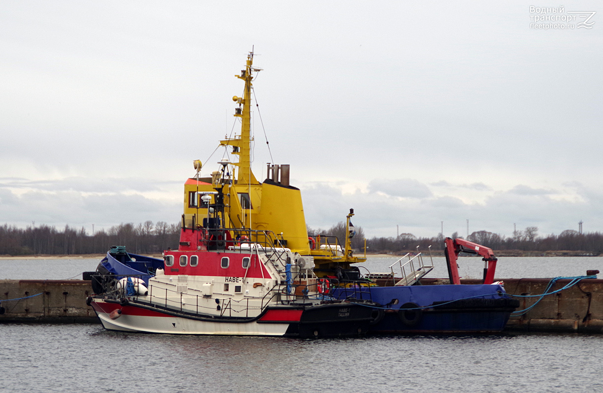 Habe-1, Isbjörn