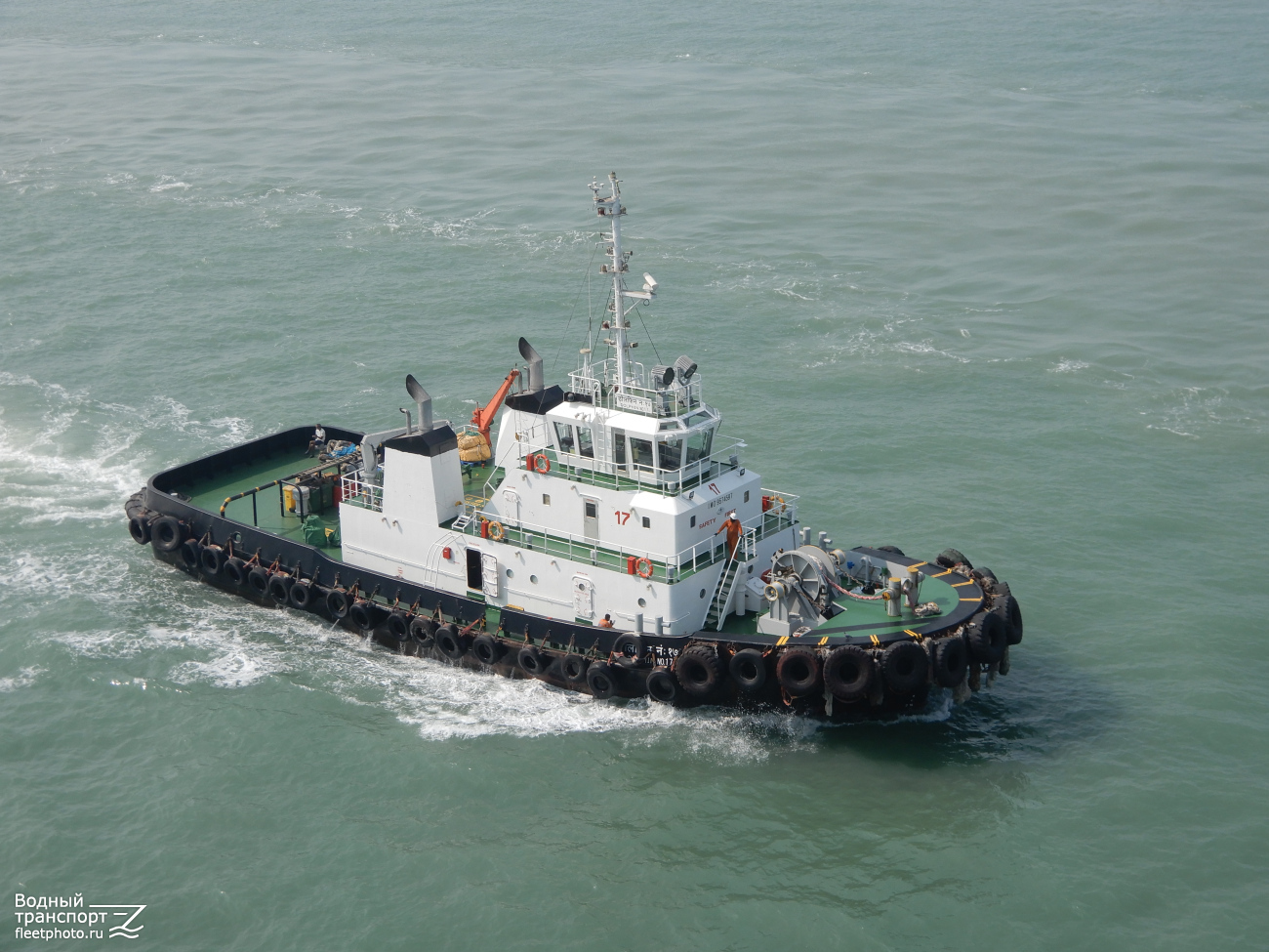 Dolphin No.17