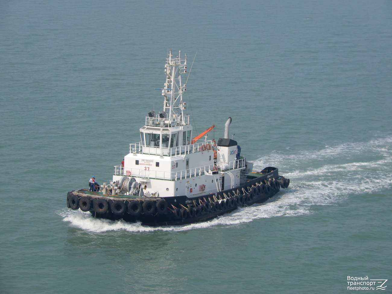 Dolphin No.37