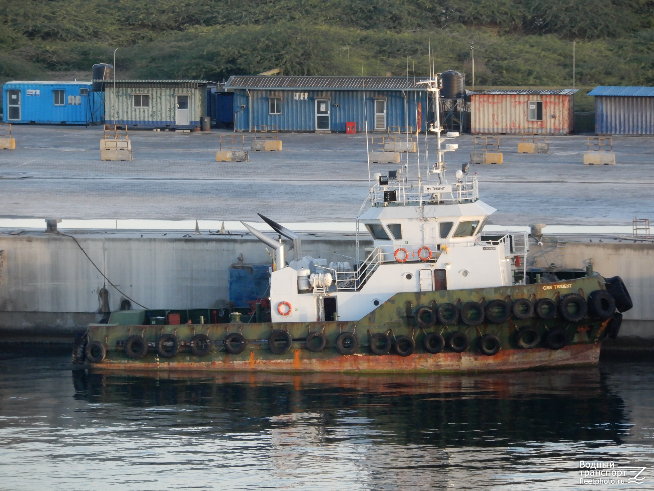 CMV Trident