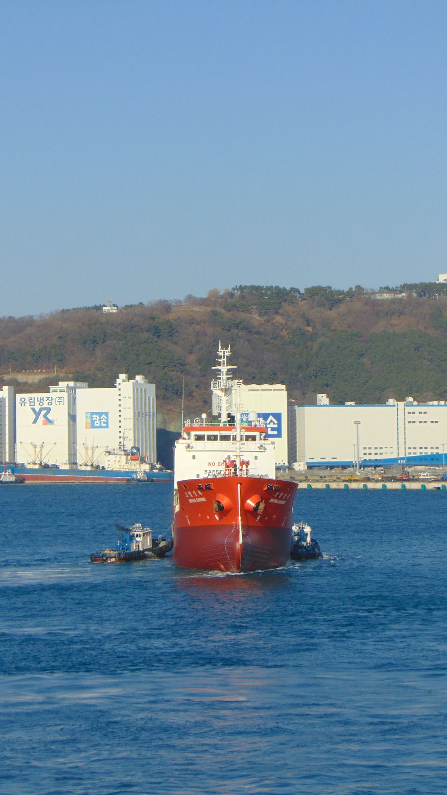 Royal Sambu