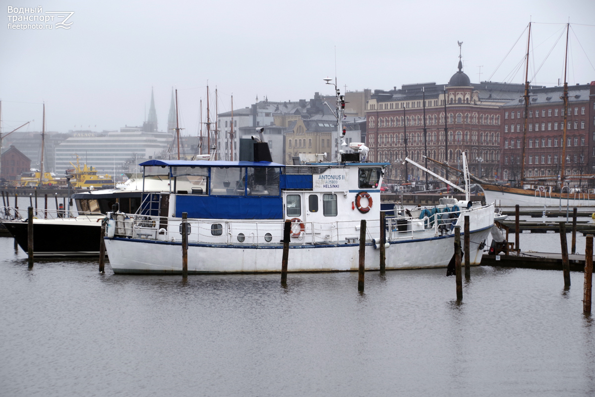 Antonius II