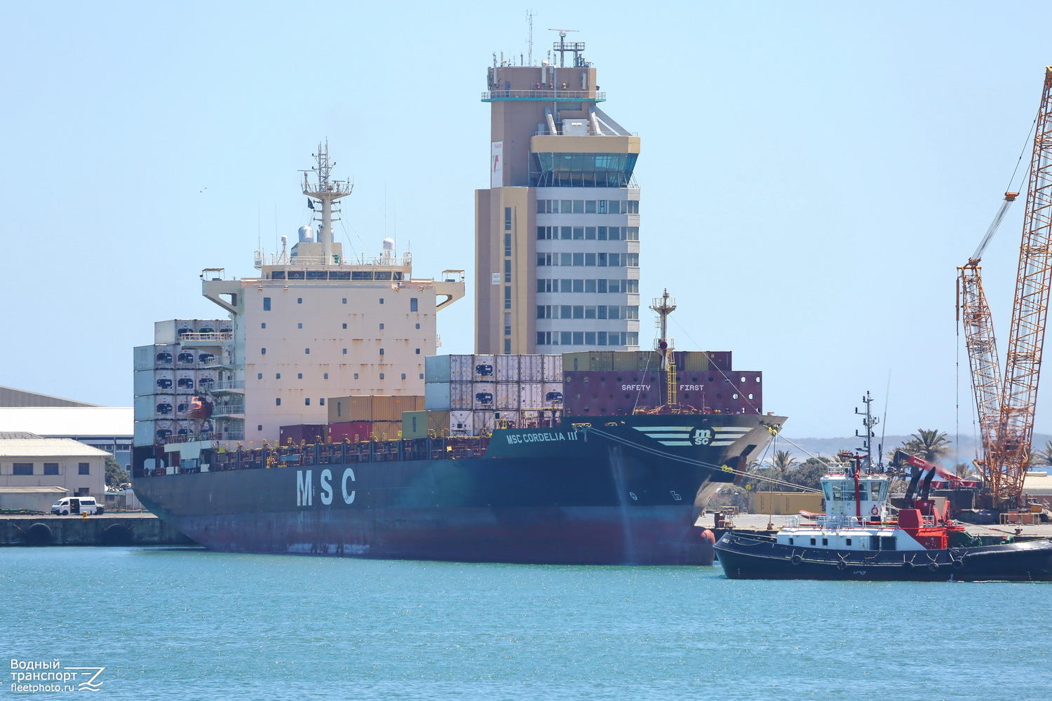 MSC Cordelia III