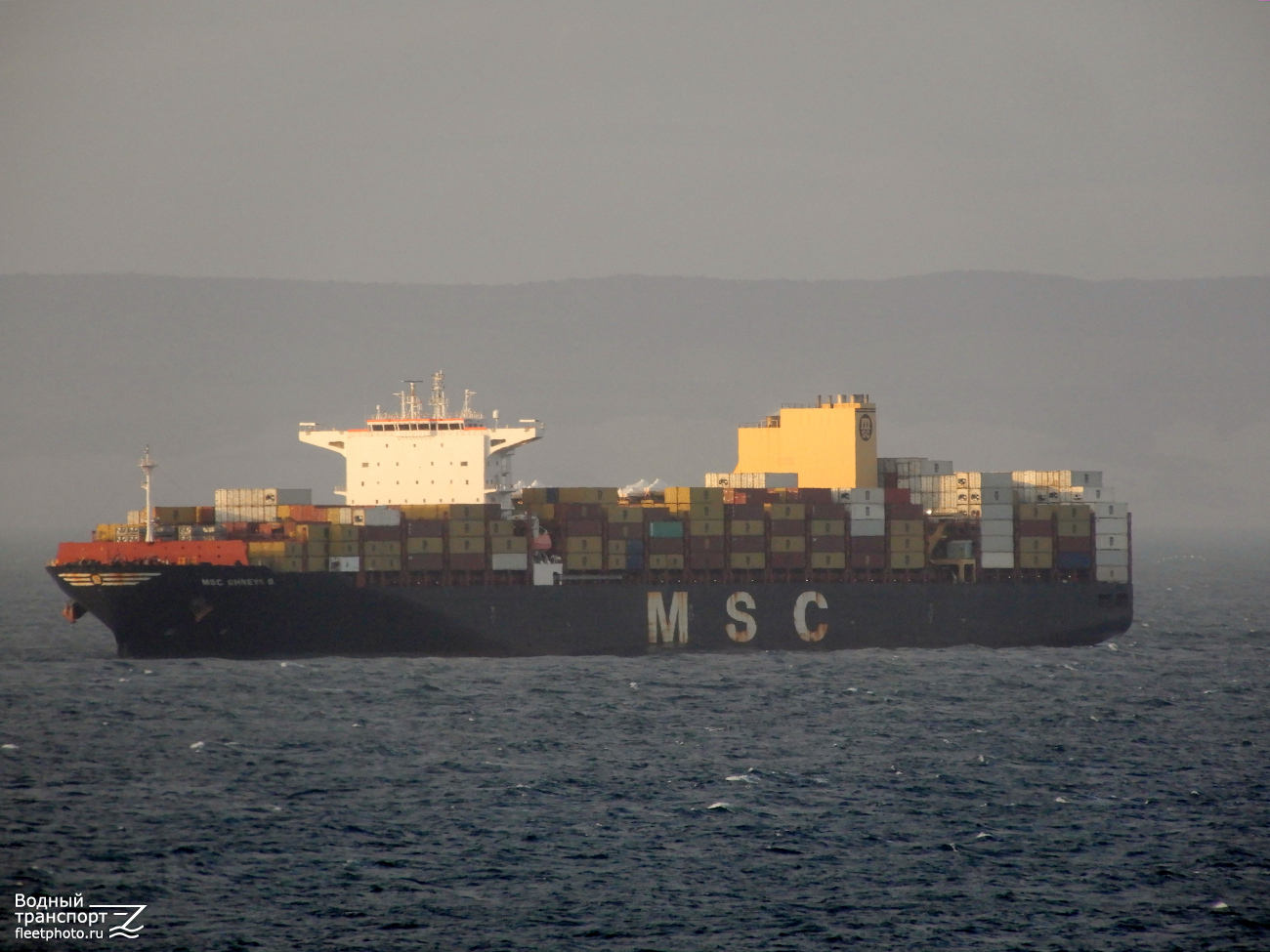 MSC Shreya B