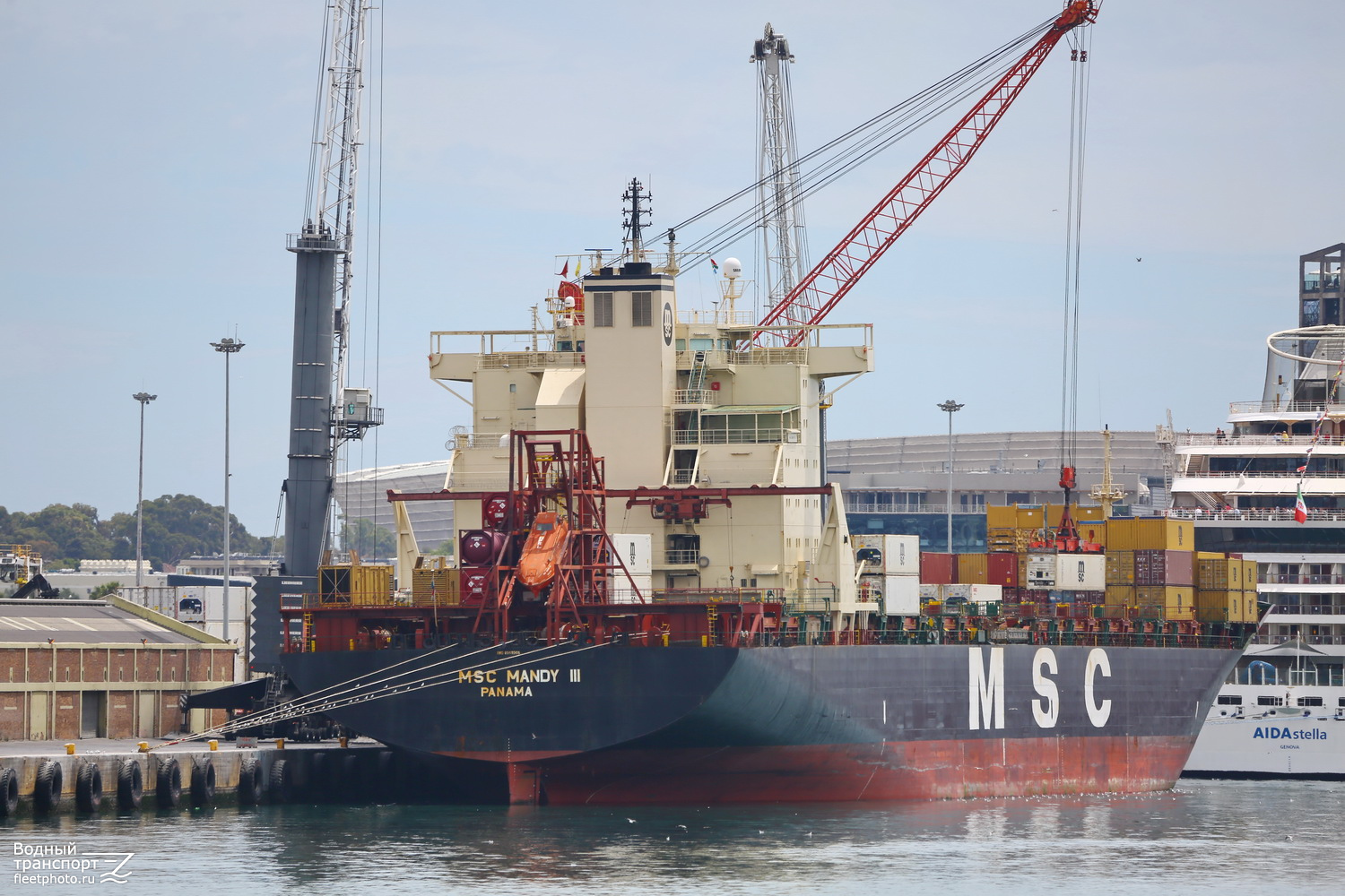 MSC Mandy III