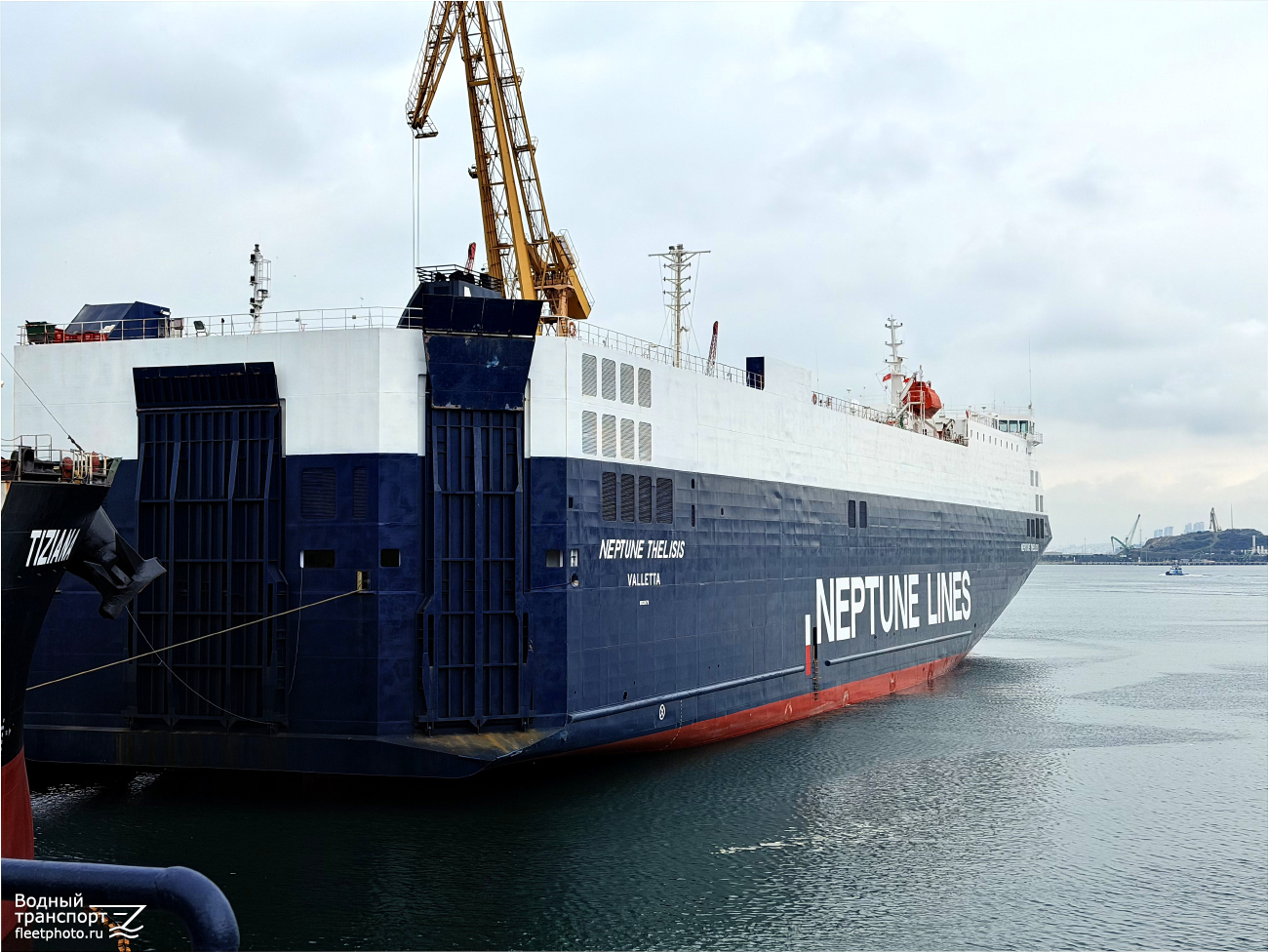 Neptune Thelisis