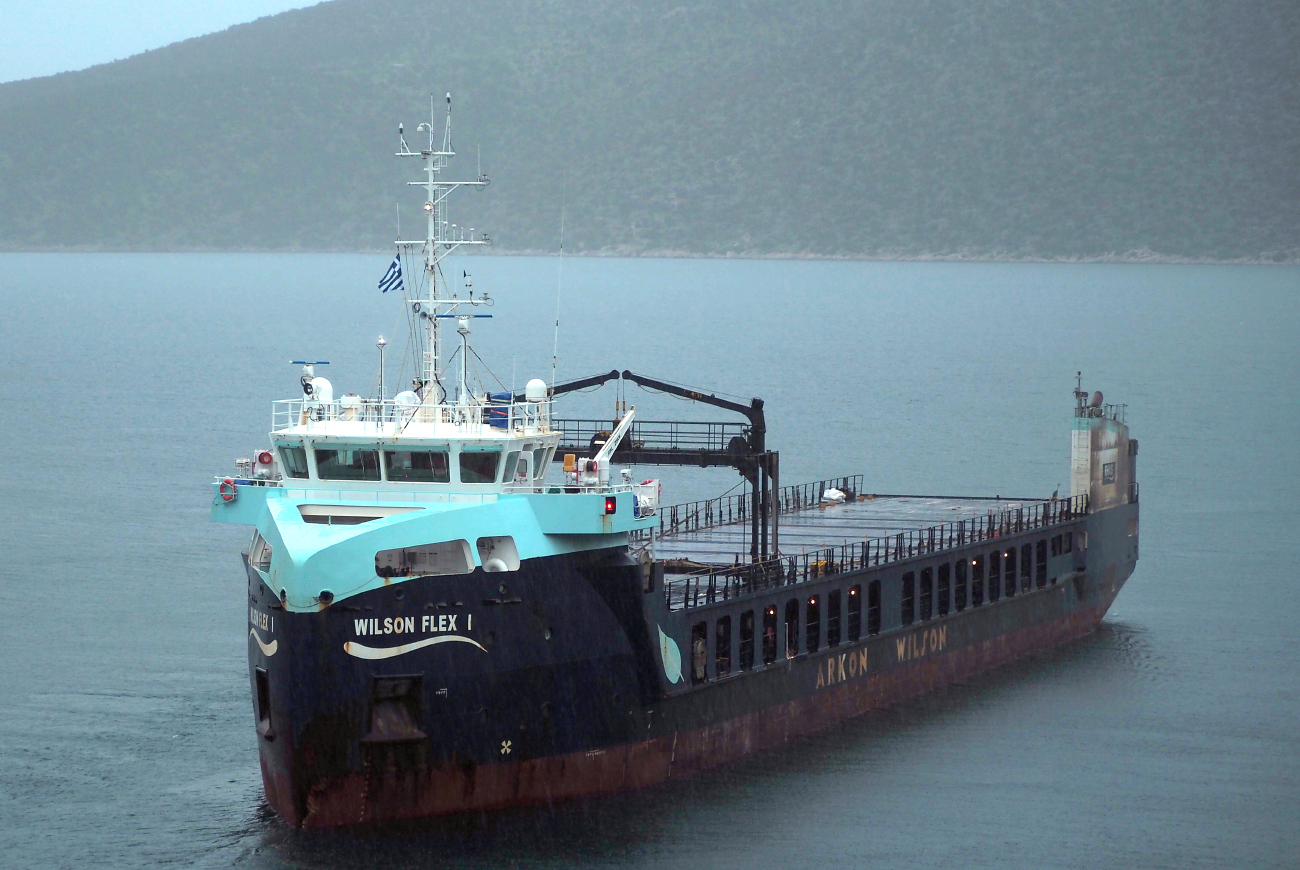 Wilson Flex I