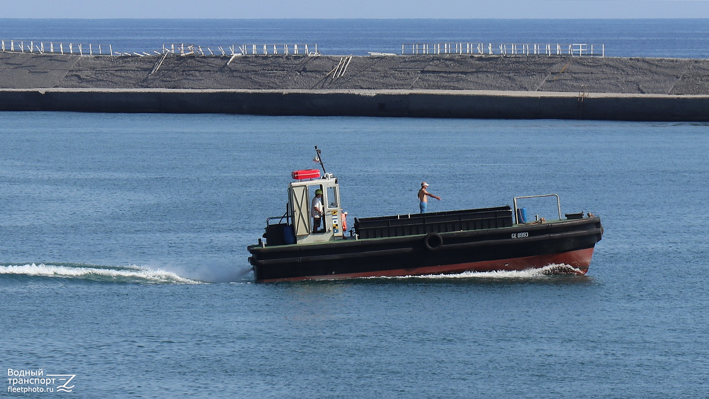 GE 8993