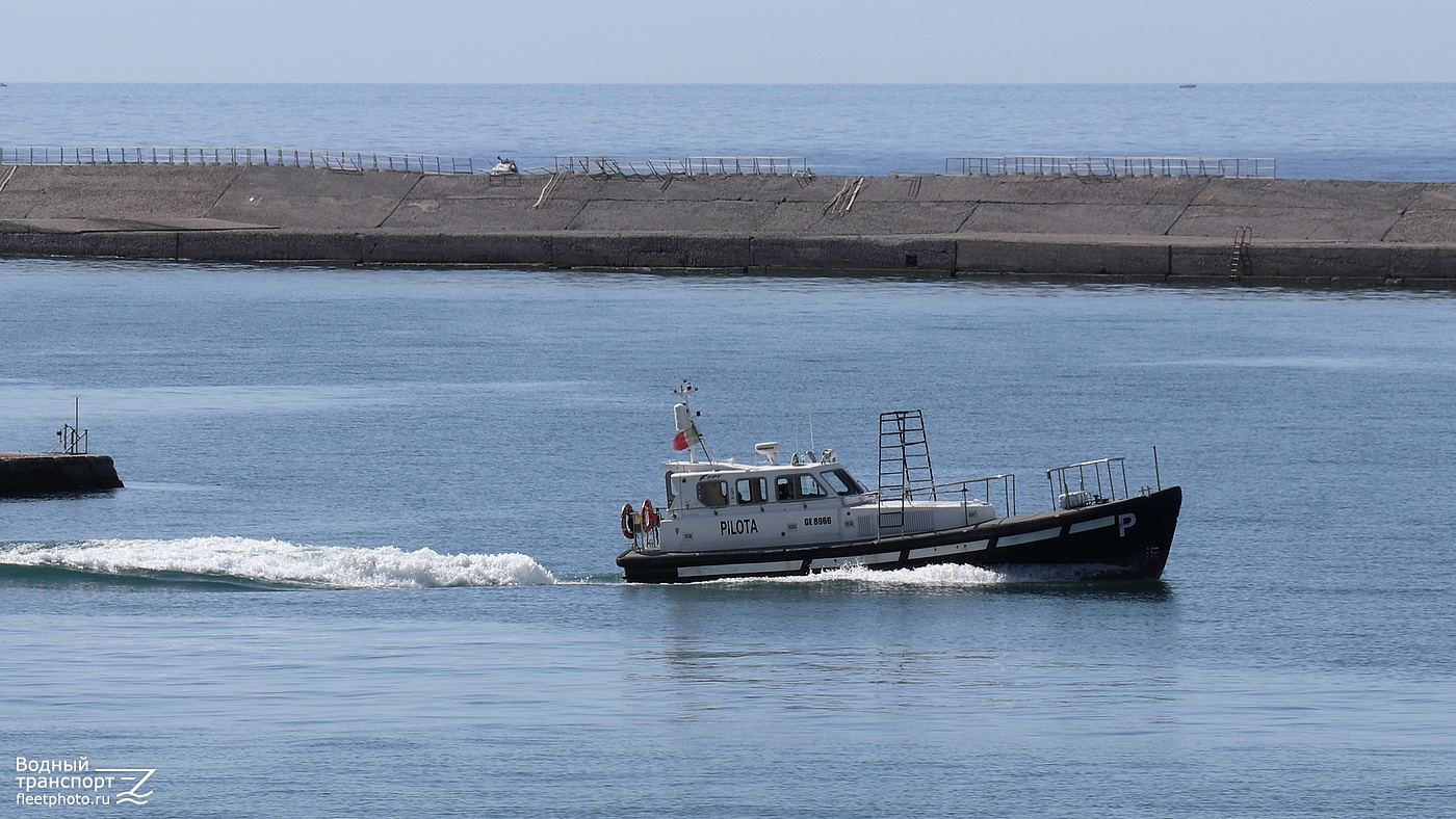 GE 8966