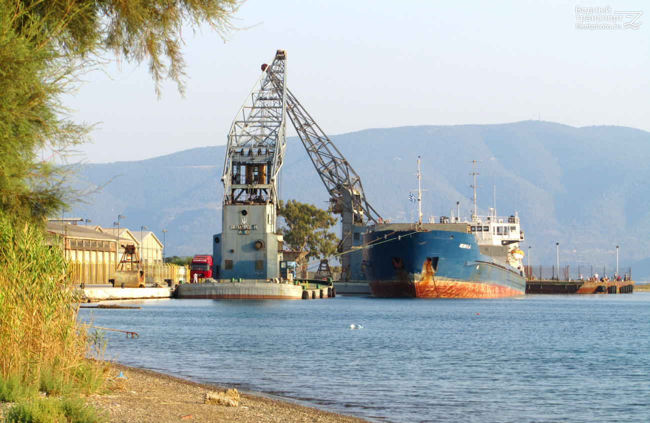 Theodoros M, Neonila