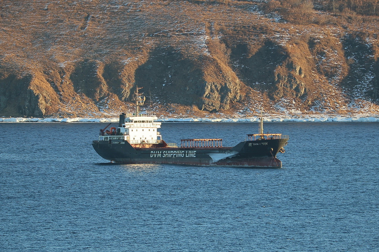 DVM-1