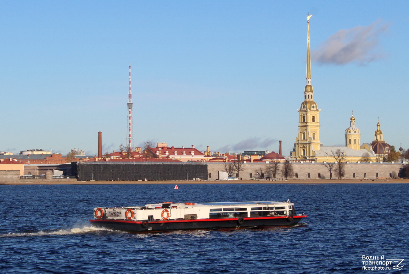 Молекула