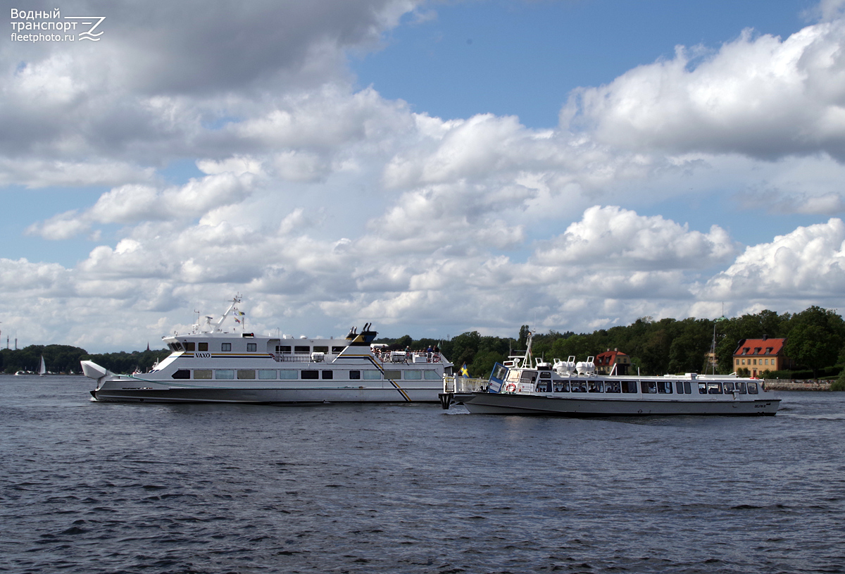 Vaxö, Delfin XI