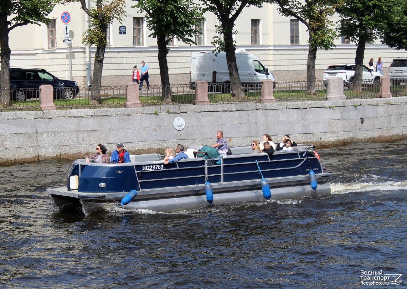 Тюлень