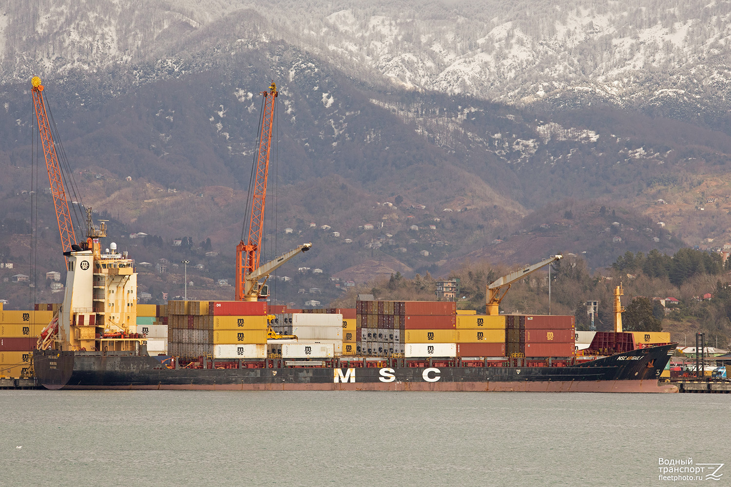 MSC Abigail F