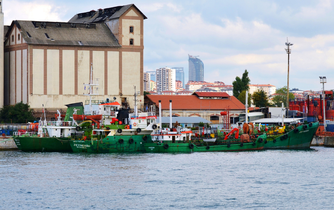Zeynebim, Ahsenim