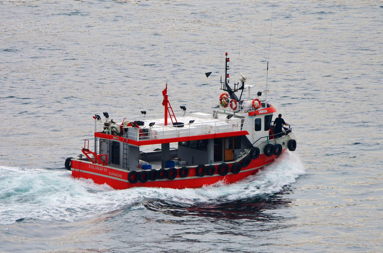 Dolunay-61