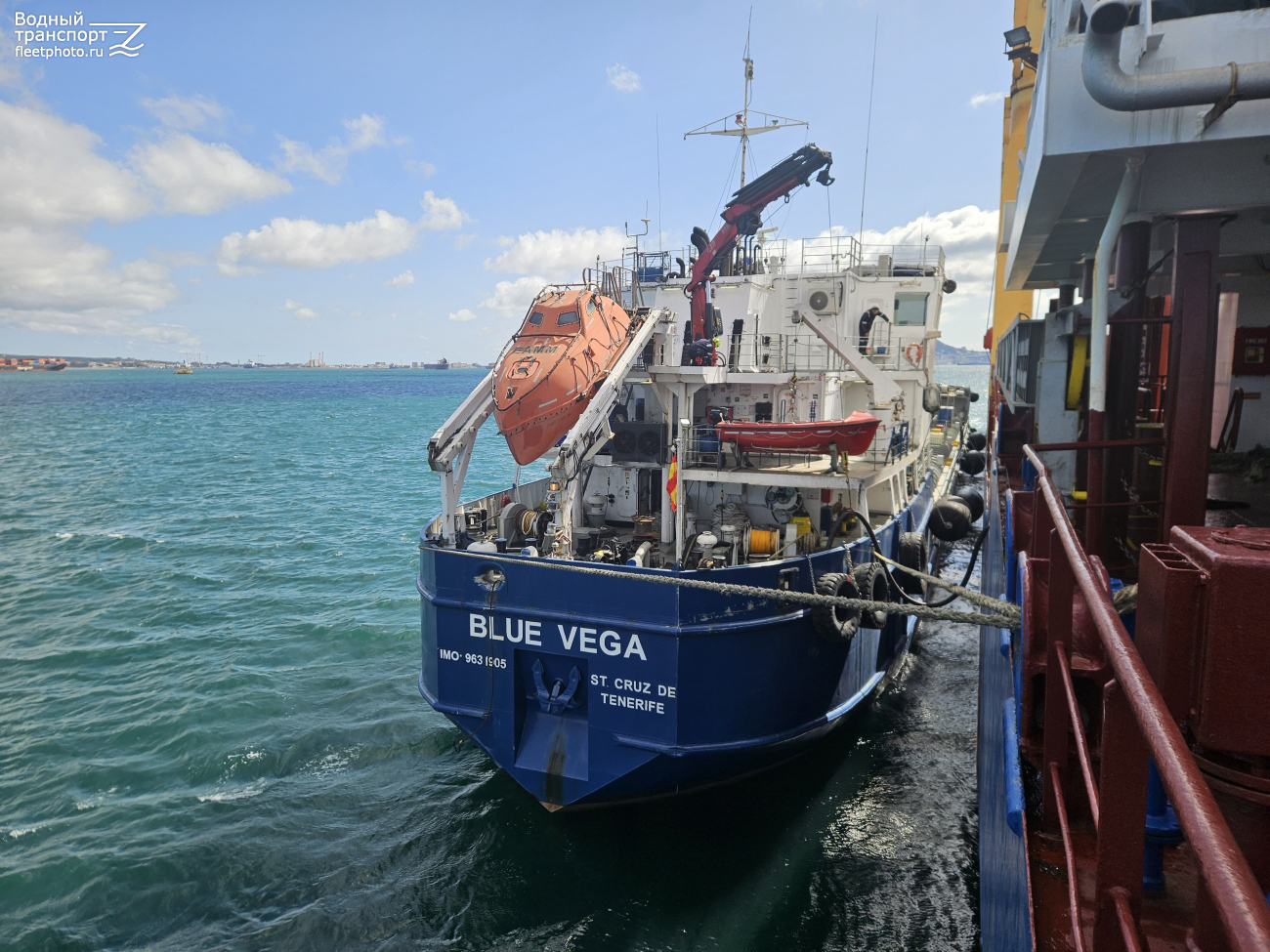 Blue Vega