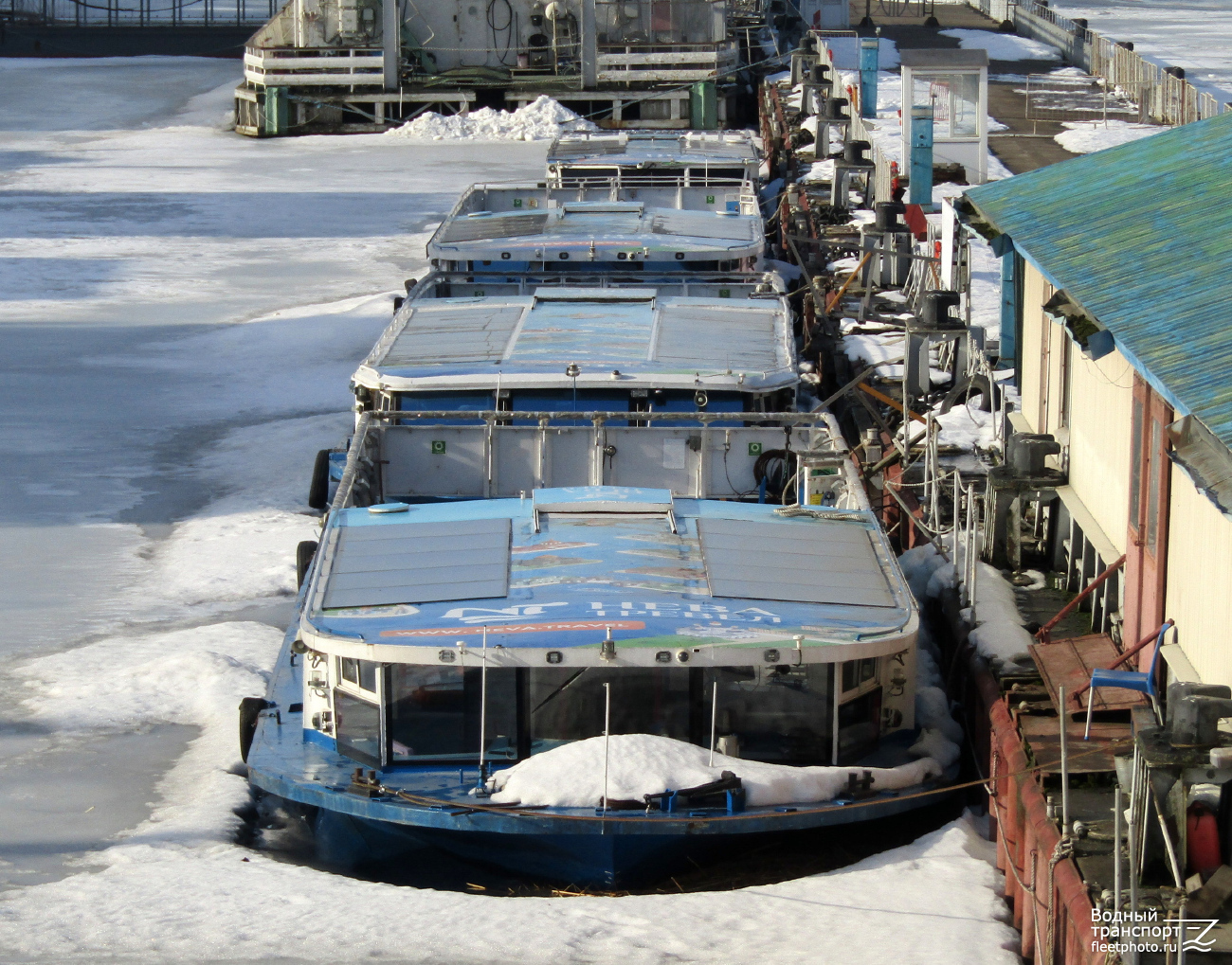 Красавица