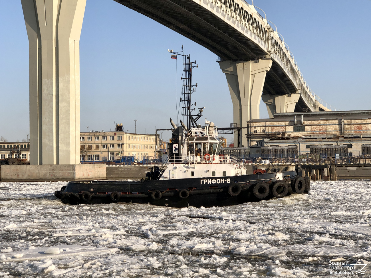 Грифон-8