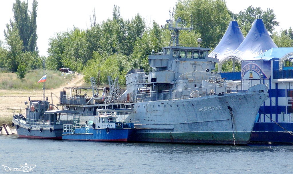 Варяг, Голубь, Волгоград